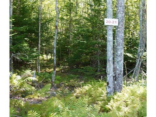 Lot 20 Golden Shore Lane, West Bay Marshes, NS 