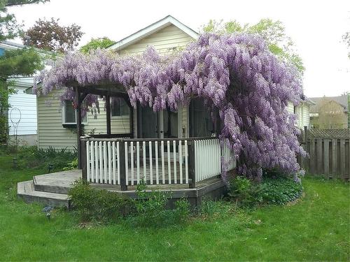 Purple wisteria over back deck! - 978 Bonnieview Avenue, Burlington, ON - Outdoor