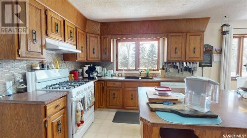 180 2Nd Avenue S, Duck Lake, SK - Indoor Photo Showing Kitchen With Double Sink