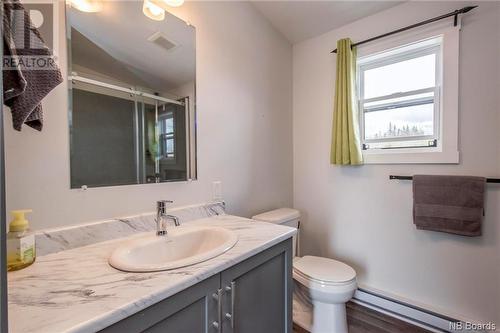 10948 Route 114, South Branch, NB - Indoor Photo Showing Bathroom