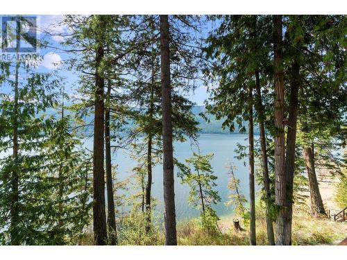 6432 Sunnybrae Canoe Point Road Unit# 6, Tappen, BC - Outdoor With Body Of Water With View