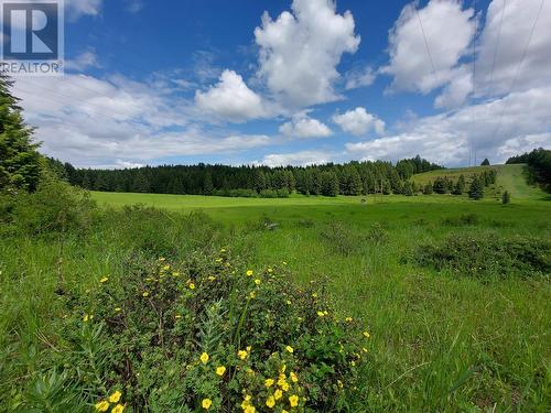 1770 Johnstone Creek Road W, Rock Creek, BC - Outdoor With View