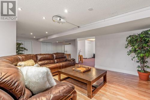 54 Parkside Rd, Belleville, ON - Indoor Photo Showing Living Room