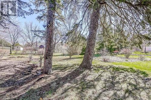 720 Chemong Rd, Peterborough, ON - Outdoor With View
