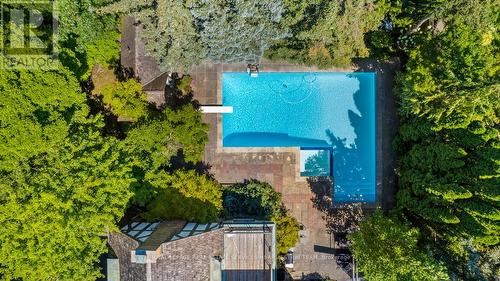 23 Dewbourne Avenue, Toronto, ON - Outdoor With In Ground Pool