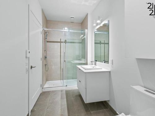 Salle de bains - 109-2121 Av. Papineau, Montréal (Ville-Marie), QC - Indoor Photo Showing Bathroom