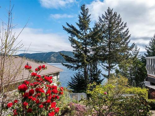 6633 Chisholm Trail, Duncan, BC - Outdoor With View