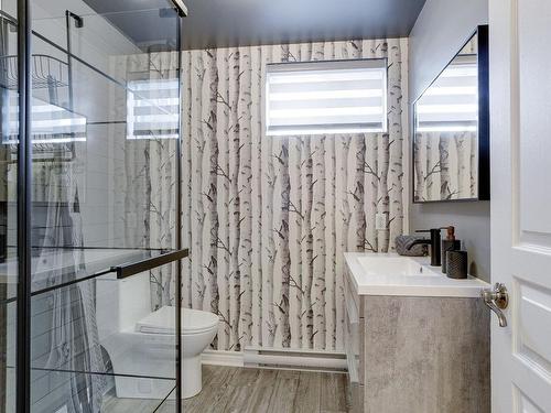 Bathroom - 443 Rue Des Monts-Valin, Repentigny (Repentigny), QC - Indoor Photo Showing Bathroom