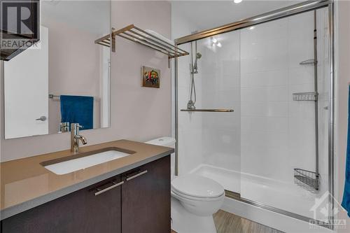 360 Patricia Avenue Unit#202, Ottawa, ON - Indoor Photo Showing Bathroom