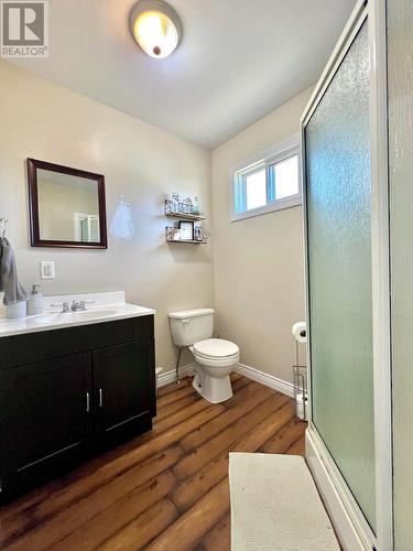 4 Pelleys Lane, Harcourt, NL - Indoor Photo Showing Bathroom