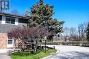 #31 -77 Linwell Rd, St. Catharines, ON  - Outdoor 