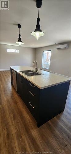 76 Jordan Cres, Moncton, NB - Indoor Photo Showing Kitchen With Double Sink