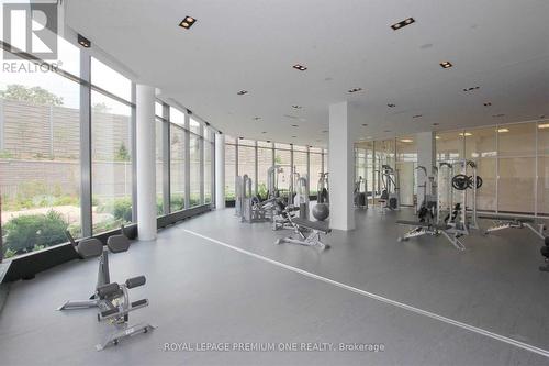 #210 -90 Park Lawn Rd, Toronto, ON - Indoor Photo Showing Gym Room
