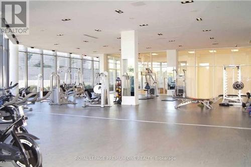 #210 -90 Park Lawn Rd, Toronto, ON - Indoor Photo Showing Gym Room