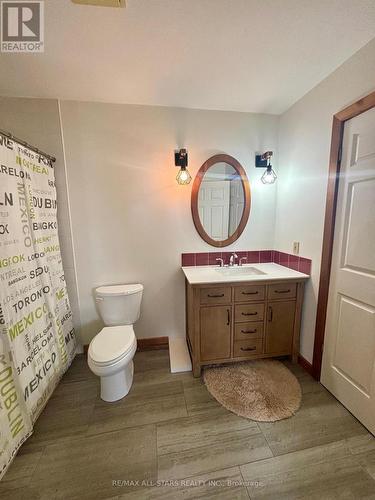 362 Victoria Road, Georgina, ON - Indoor Photo Showing Bathroom
