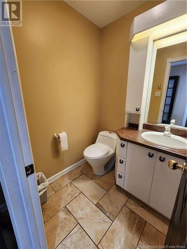 42 Thibaudeau Avenue, Edmundston, NB - Indoor Photo Showing Bathroom