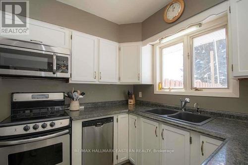 1032 East Communication Road, Smith-Ennismore-Lakefield, ON - Indoor Photo Showing Kitchen With Double Sink
