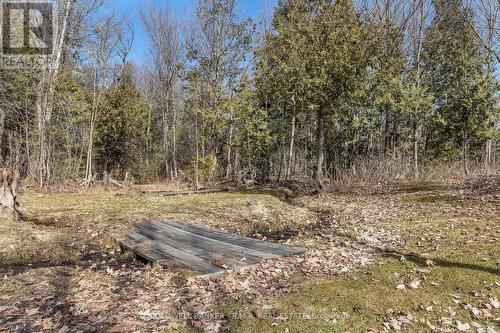330 St Alban'S Road, Kawartha Lakes, ON - Outdoor With View