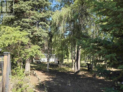 5925 Whiskey Fill Road, Valemount, BC 