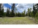 6169 Horse Lake Road, Horse Lake, BC  - Outdoor With View 