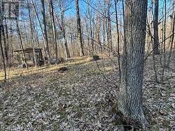 Acreage early Spring - 