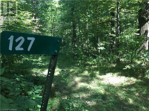 Acreage - 127 Oak Shores Lane, Tichborne, ON 