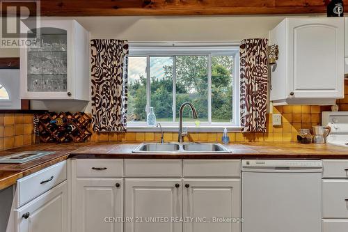 33 Birchcliff Avenue, Kawartha Lakes, ON - Indoor Photo Showing Kitchen With Double Sink
