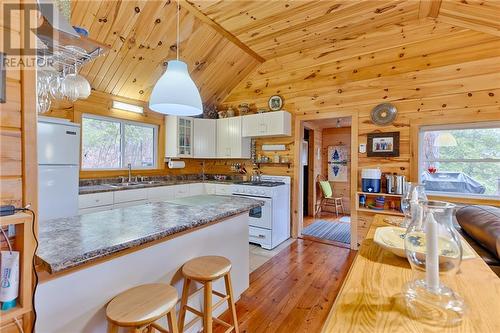 115A Scully Lake Road, Calabogie, ON - Indoor Photo Showing Kitchen With Double Sink