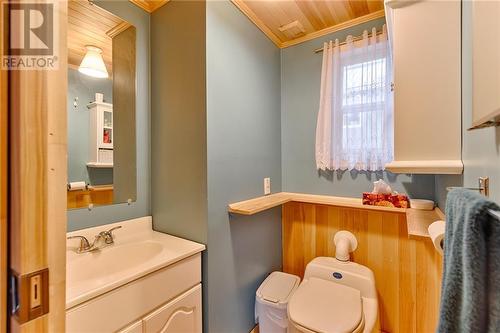 115A Scully Lake Road, Calabogie, ON - Indoor Photo Showing Bathroom