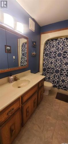 806 Garnet Street, Grenfell, SK - Indoor Photo Showing Bathroom