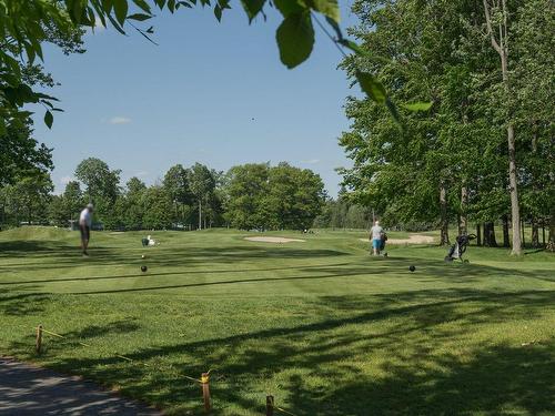 Autre - 45 Rue Mayfair, Hudson, QC - Outdoor With View