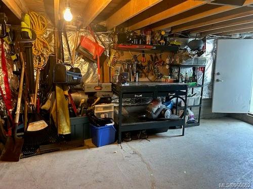 164 White Pine Rd, View Royal, BC - Indoor Photo Showing Basement