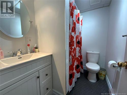 56 Des Érables Avenue, Clair, NB - Indoor Photo Showing Bathroom