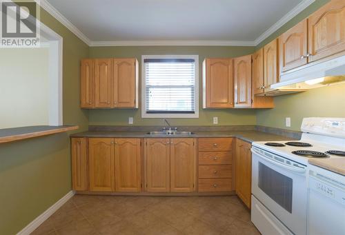 25 Smith Avenue, St. John'S, NL - Indoor Photo Showing Kitchen With Double Sink