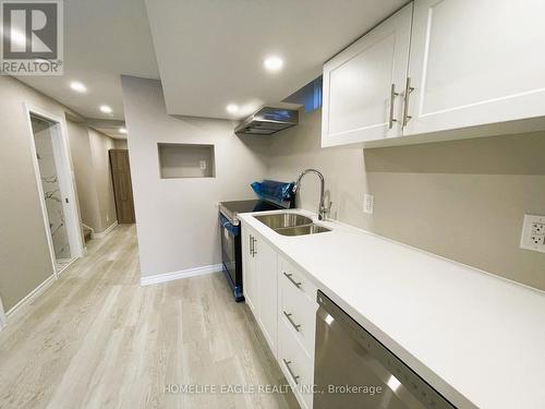 22 Nature Court, Hamilton, ON - Indoor Photo Showing Kitchen With Double Sink
