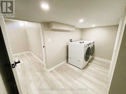 22 Nature Court, Hamilton, ON - Indoor Photo Showing Laundry Room