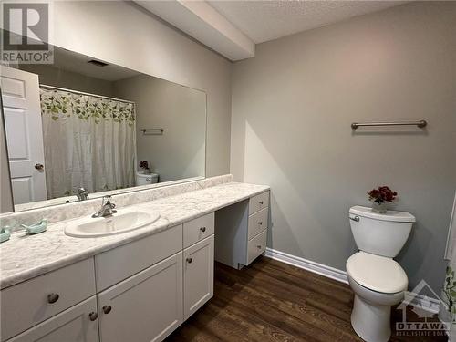 Ensuite Bathroom (Lower Level) - 410 Slater Road, Kemptville, ON - Indoor Photo Showing Bathroom