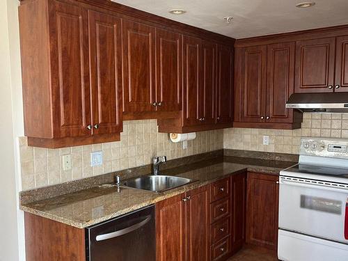 Cuisine - 702-7705 Rue Du Mans, Montréal (Saint-Léonard), QC - Indoor Photo Showing Kitchen With Double Sink