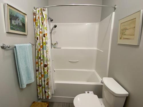 202 - 2000 Choquette Avenue, Nelson, BC - Indoor Photo Showing Bathroom