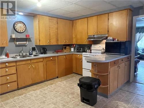3375 Route 385, Riley Brook, NB - Indoor Photo Showing Kitchen With Double Sink