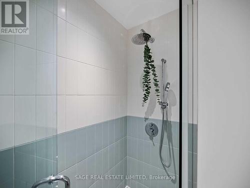 #308 -41 Dovercourt Rd, Toronto, ON - Indoor Photo Showing Bathroom