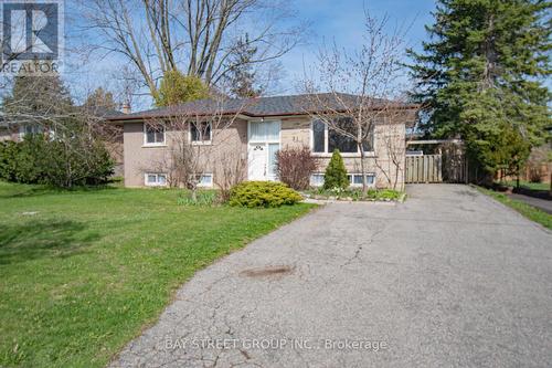 31 Alanadale Ave, Markham, ON - Outdoor