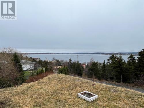 28 Godsells Road, Spaniards Bay, NL - Outdoor With Body Of Water With View