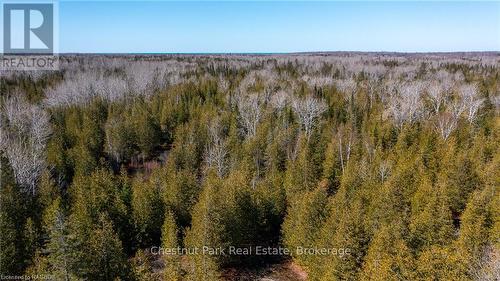 4693 Highway 6, Northern Bruce Peninsula, ON 