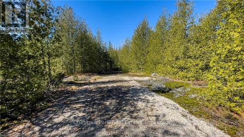 4693 Highway 6, Northern Bruce Peninsula, ON 