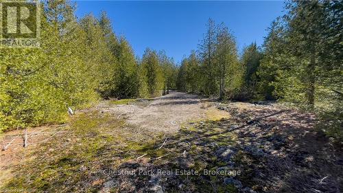 4693 Highway 6, Northern Bruce Peninsula, ON 