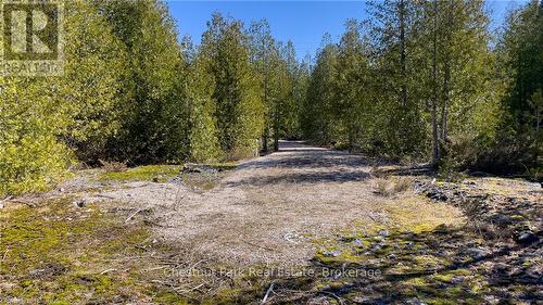 4693 Highway 6, Northern Bruce Peninsula, ON 