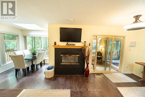 8742 Timberwood Tr, Lambton Shores, ON - Indoor With Fireplace