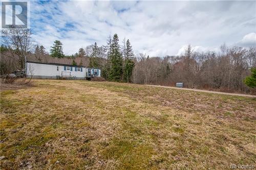 8360 Route 101, Welsford, NB - Outdoor