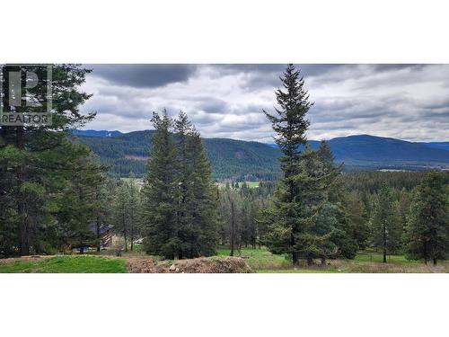 96 Rawlings Lake Road, Lumby, BC - Outdoor With View